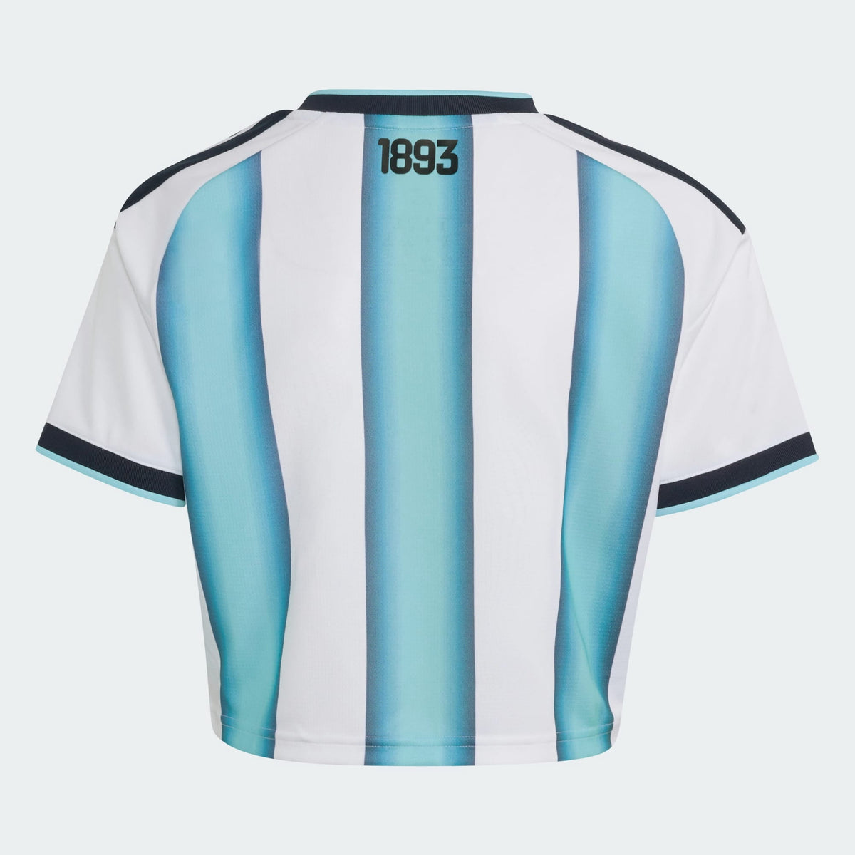 adidas Women's Soccer Jersey Argentina 26 Home Cropped Replica Medium